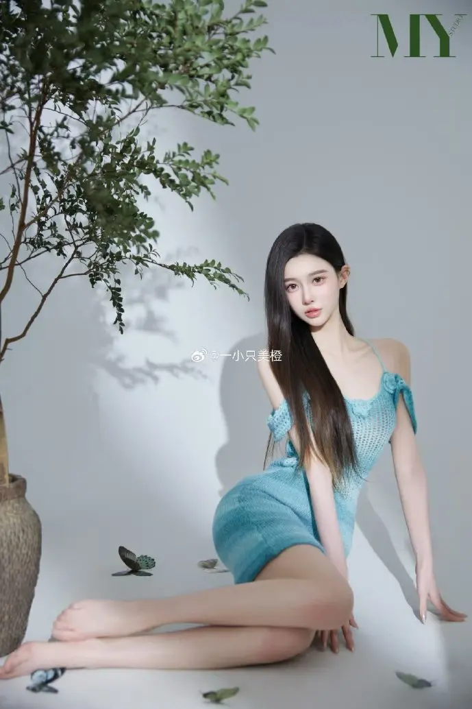 凤凰网用户增长曲线